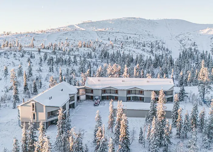 Frost Ski-in Ski-out By Aavalevi Apartament