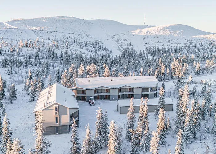 Apartament Frost Ski-in Ski-out By Aavalevi