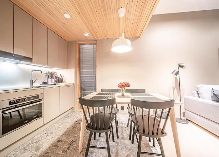 Frost Ski-in Ski-out By Aavalevi Levi