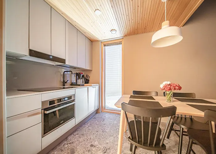 Frost Ski-in Ski-out By Aavalevi * Levi